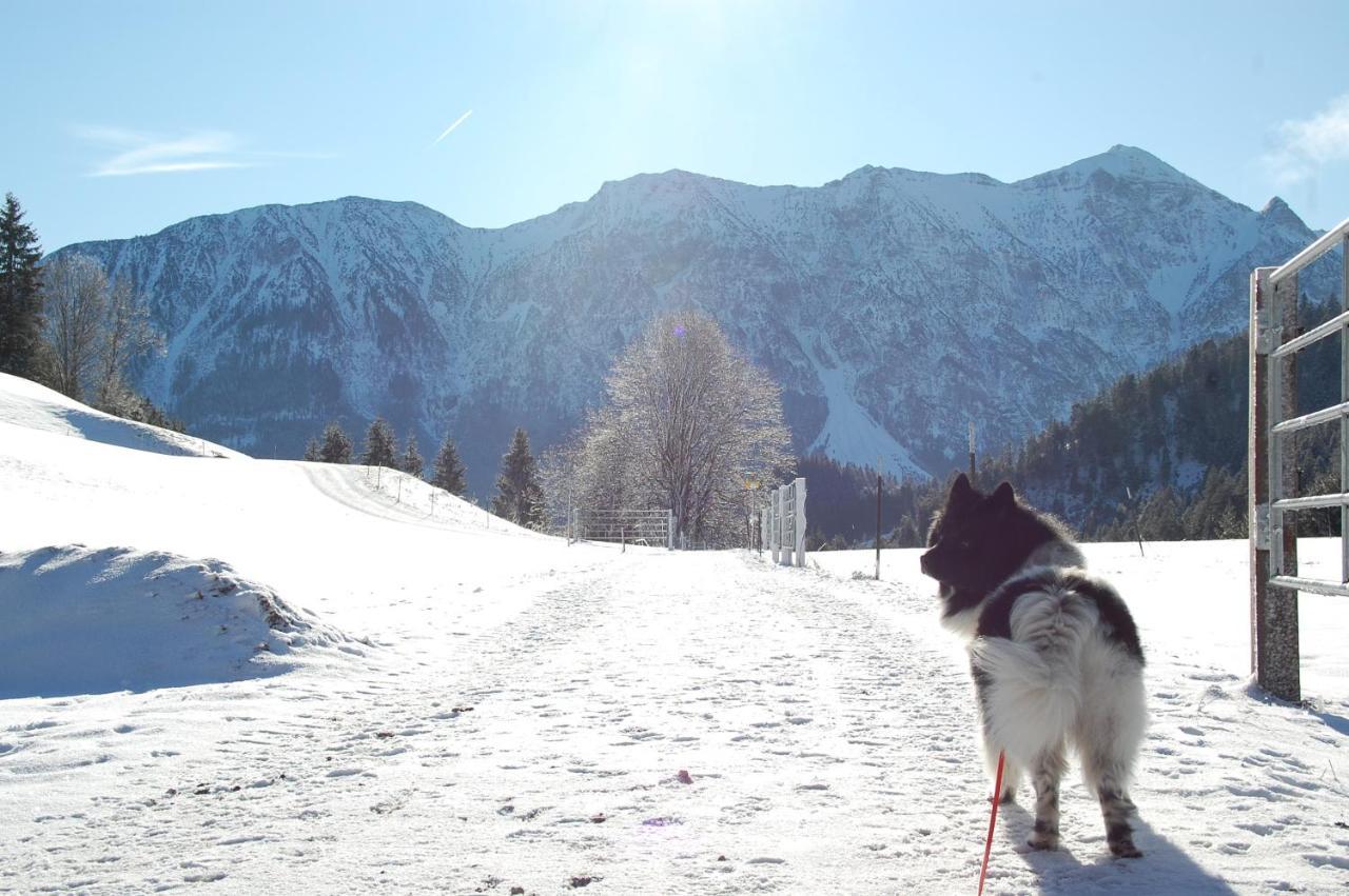 Ferienhaus Alpenglueck Gaicht Bagian luar foto