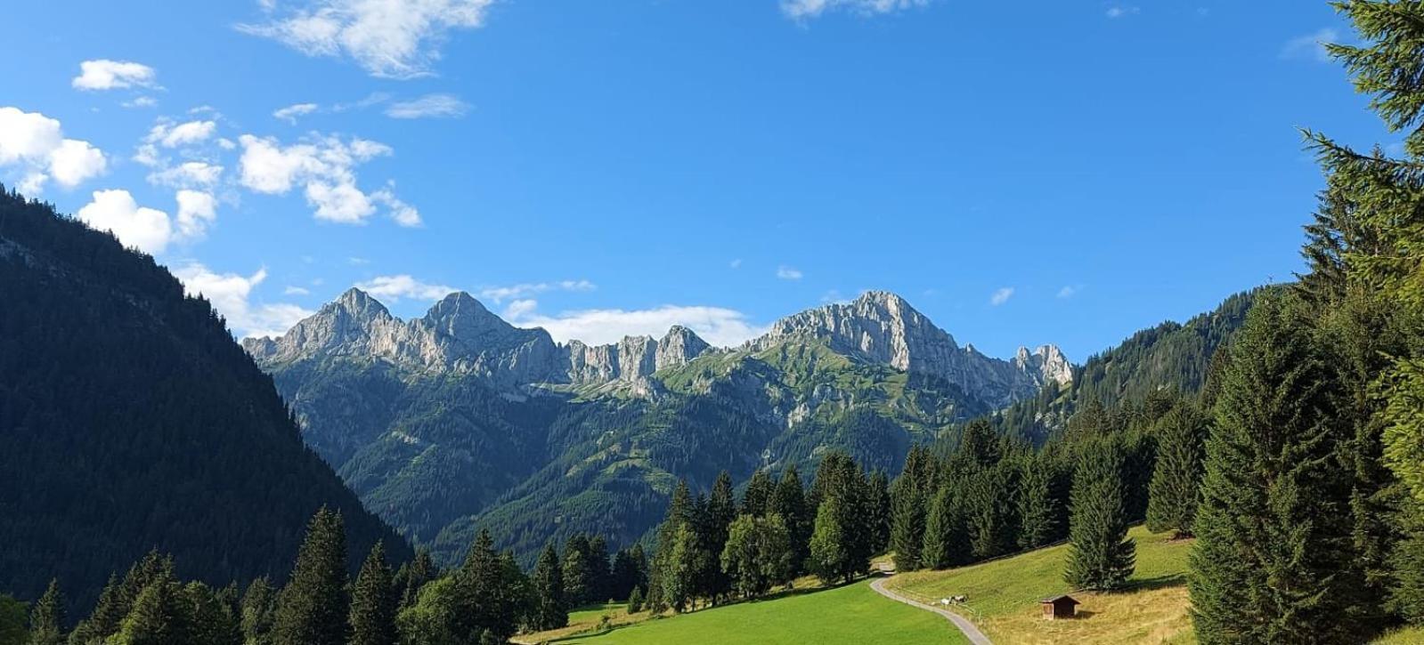 Ferienhaus Alpenglueck Gaicht Bagian luar foto