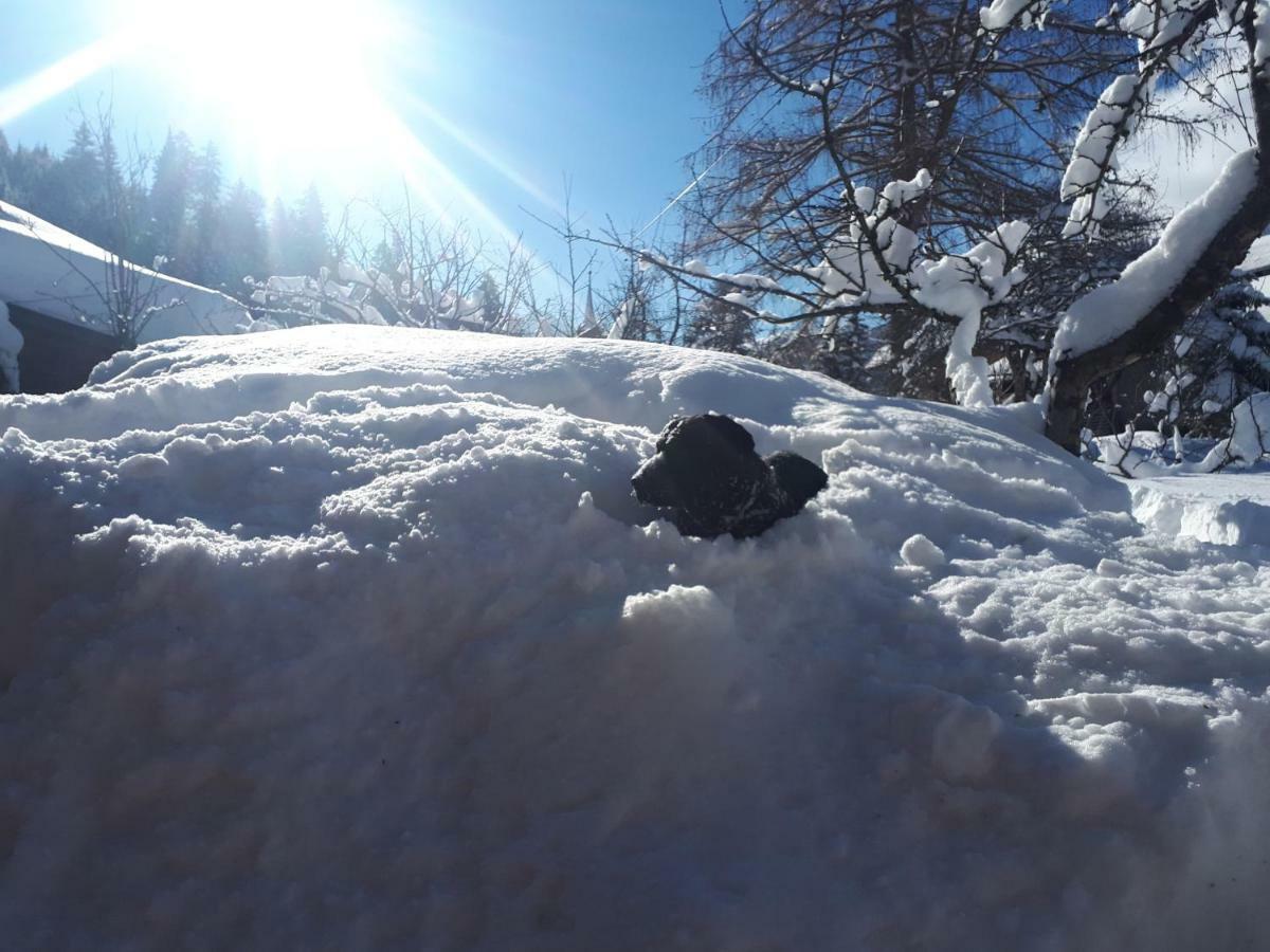 Ferienhaus Alpenglueck Gaicht Bagian luar foto
